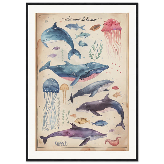 Affiche Animaux Marins ( 70x100-cm-Bois-noir)