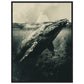 Affiche Baleine Grise ( 60x80-cm-Bois-noir)