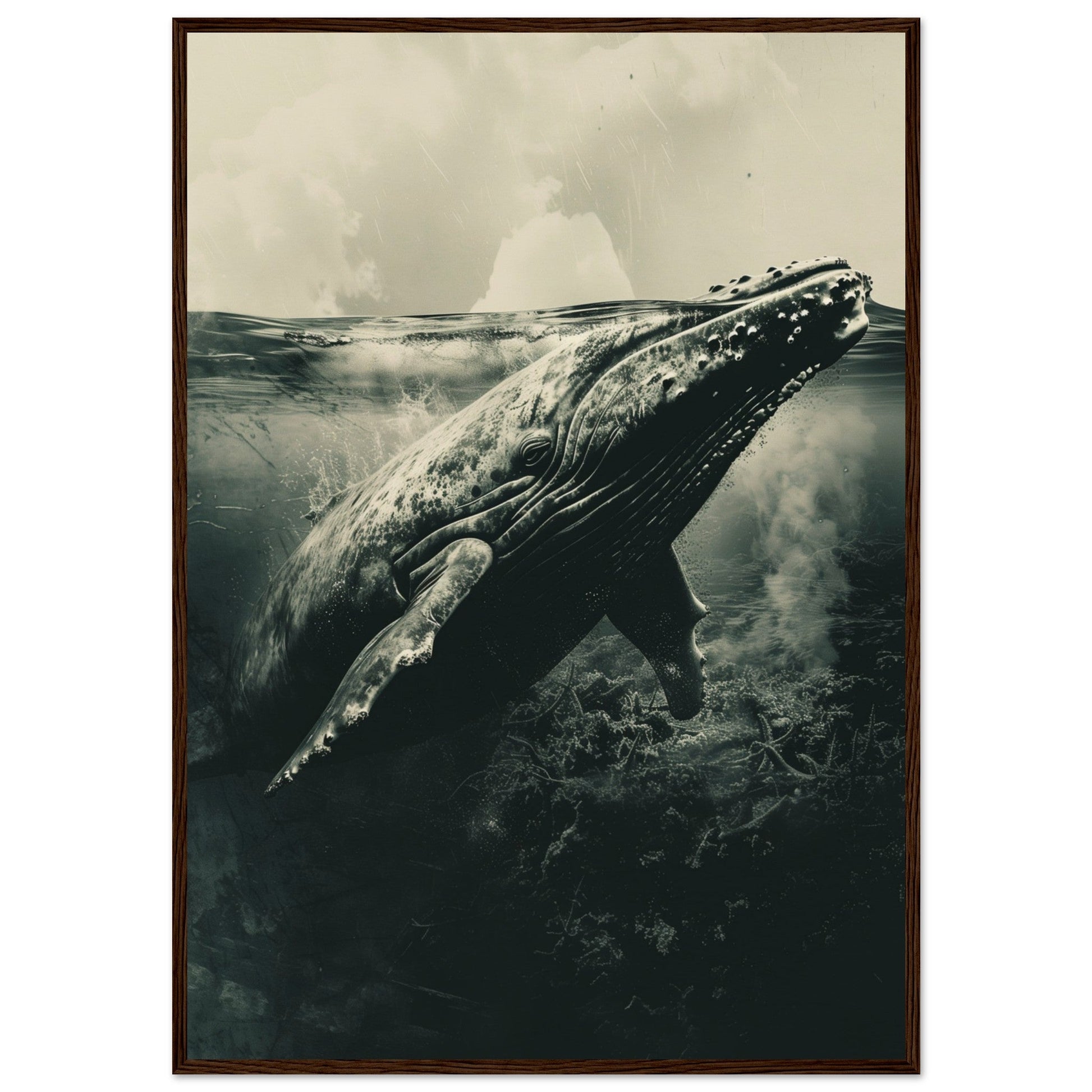 Affiche Baleine Grise ( 70x100-cm-Bois-foncé)