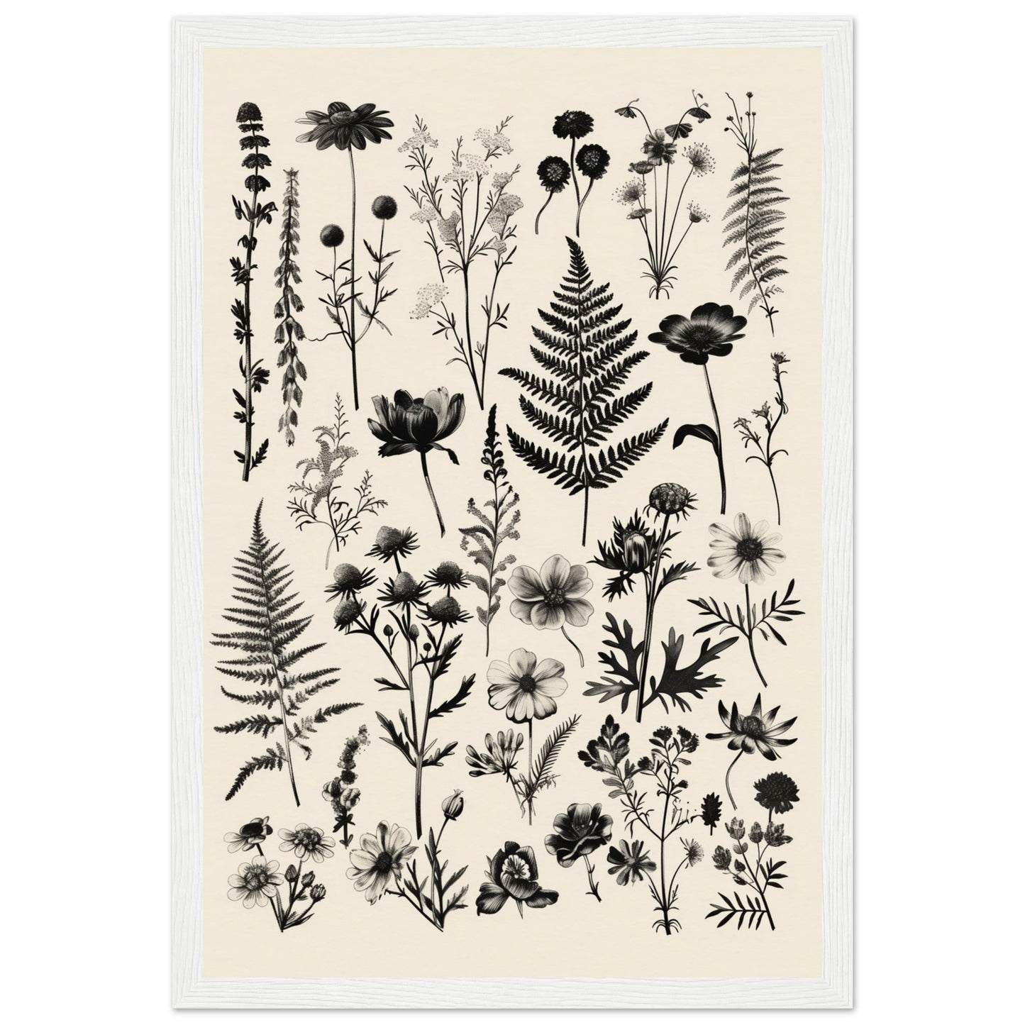 Affiche Botanique Noir et Blanc ( 30x45-cm-Bois-blanc)