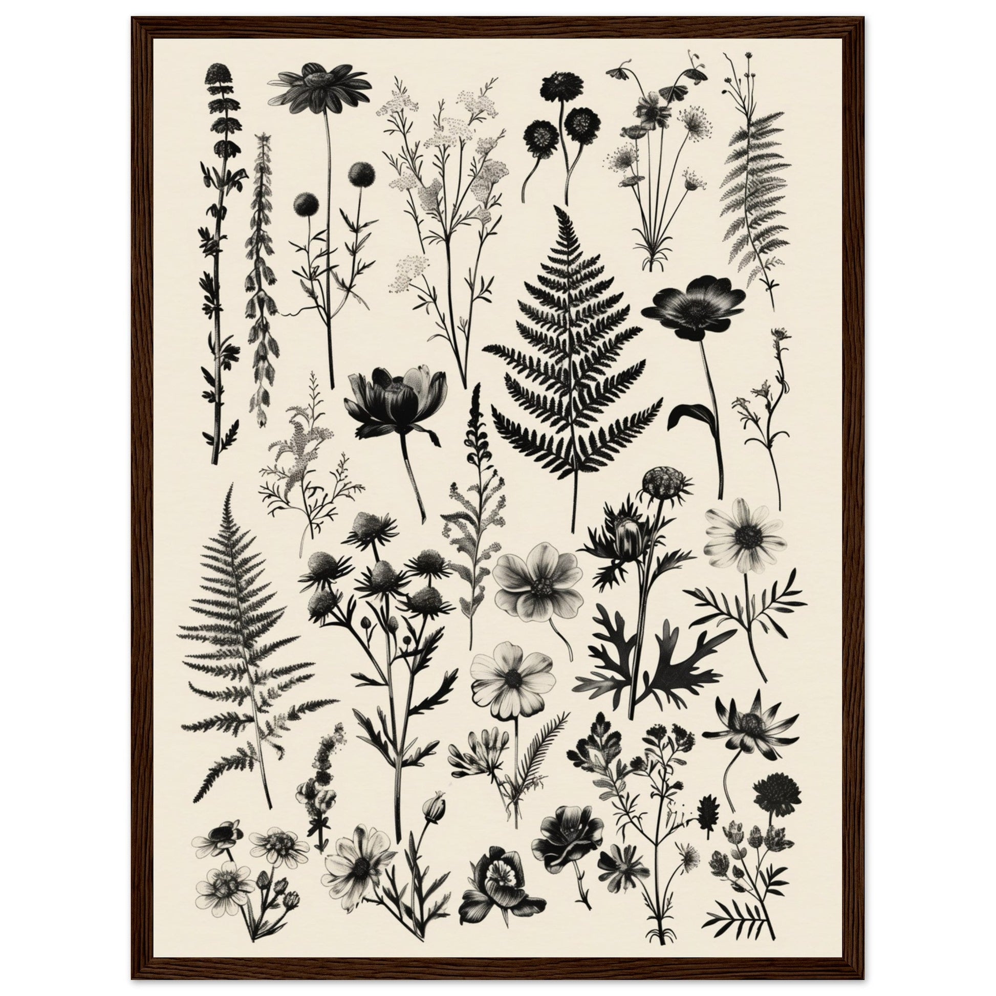 Affiche Botanique Noir et Blanc ( 45x60-cm-Bois-foncé)