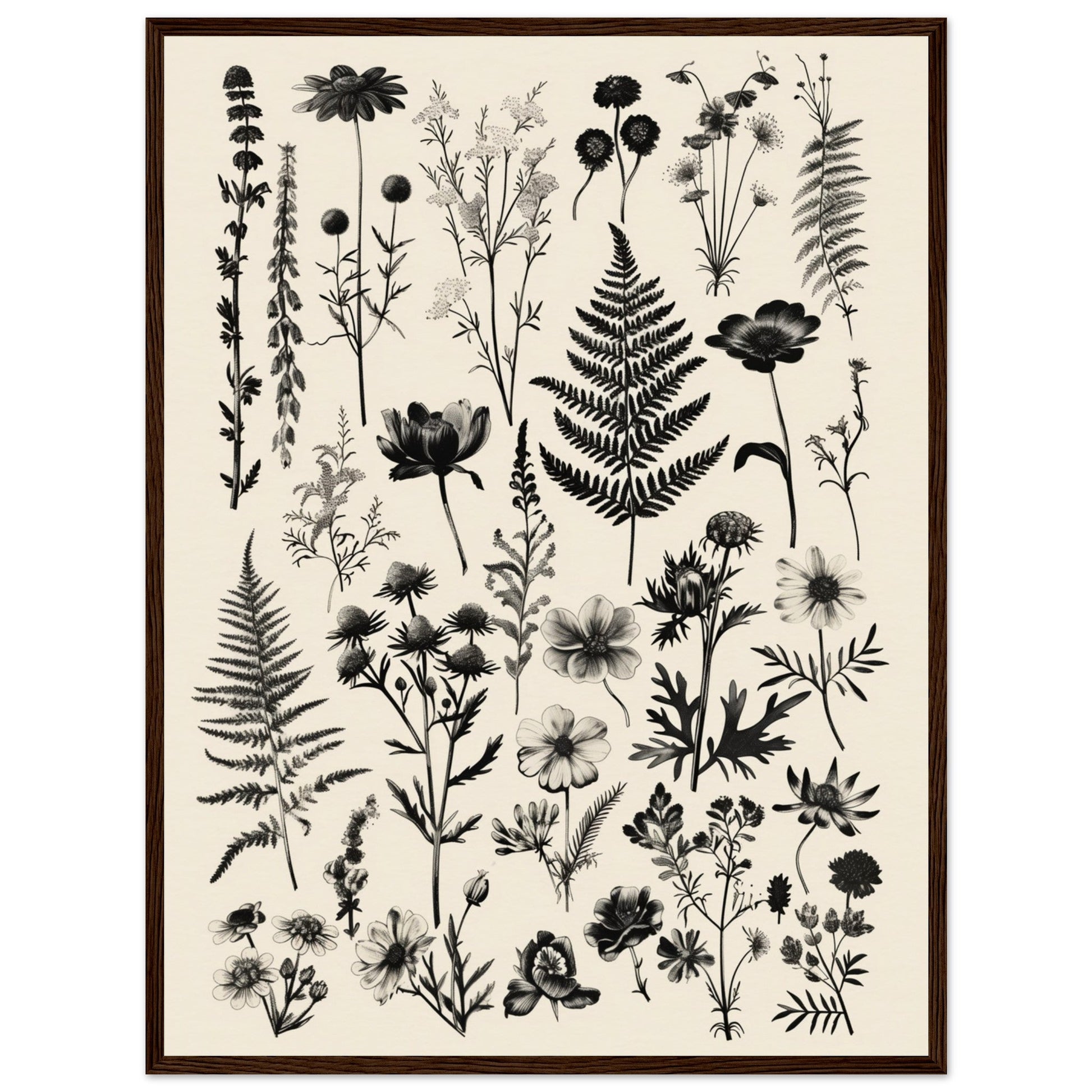 Affiche Botanique Noir et Blanc ( 60x80-cm-Bois-foncé)