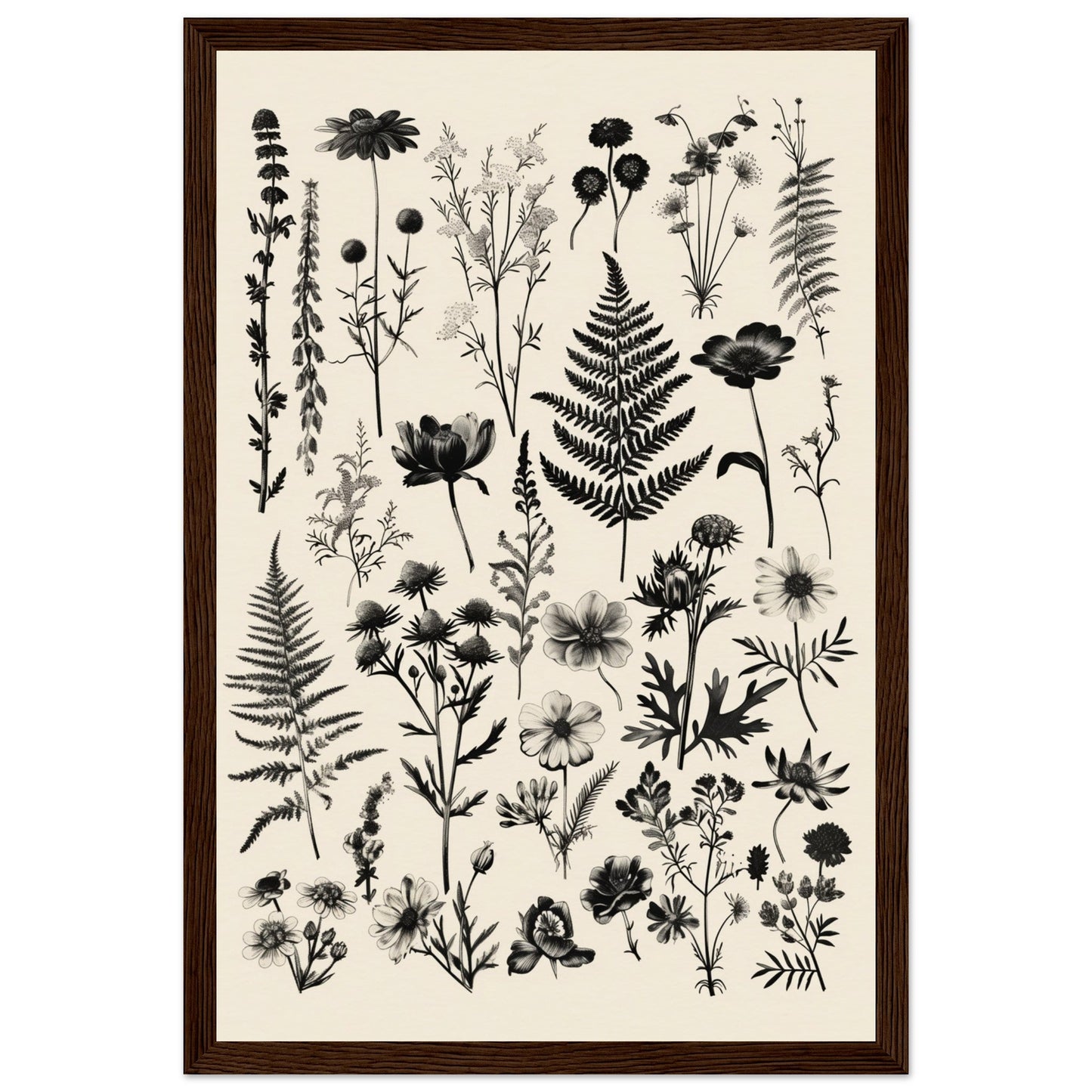 Affiche Botanique Noir et Blanc ( 30x45-cm-Bois-foncé)