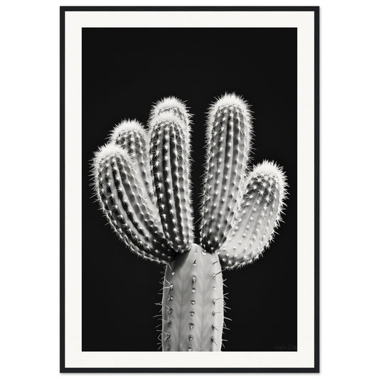 Affiche Cactus Noir et Blanc ( 70x100-cm-Bois-noir)