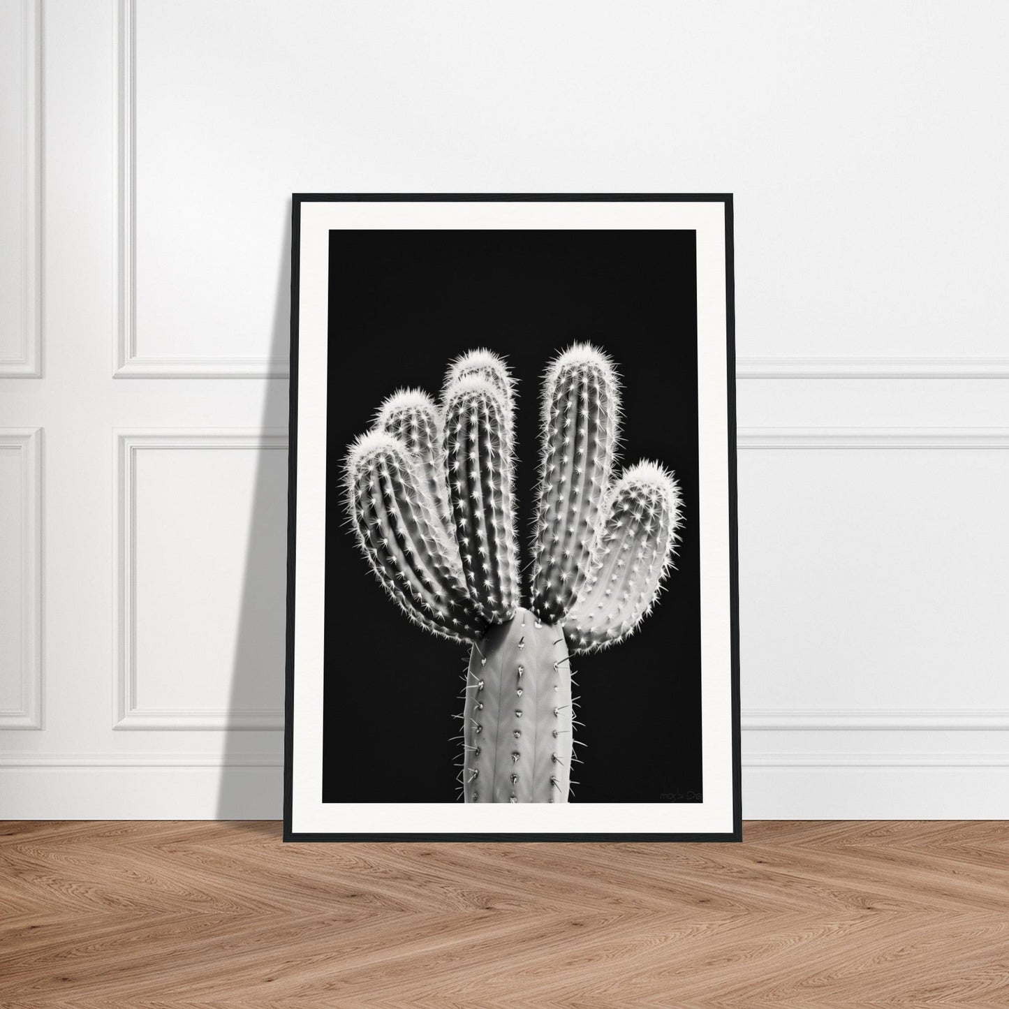 Affiche Cactus Noir et Blanc ( )