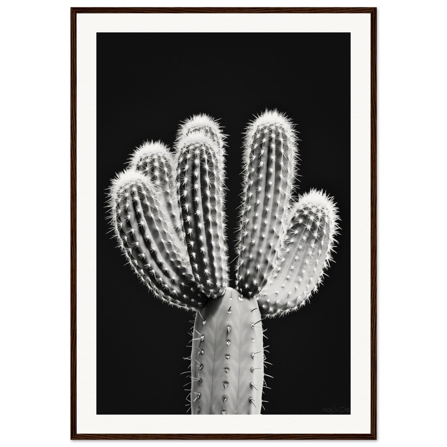 Affiche Cactus Noir et Blanc ( 70x100-cm-Bois-foncé)