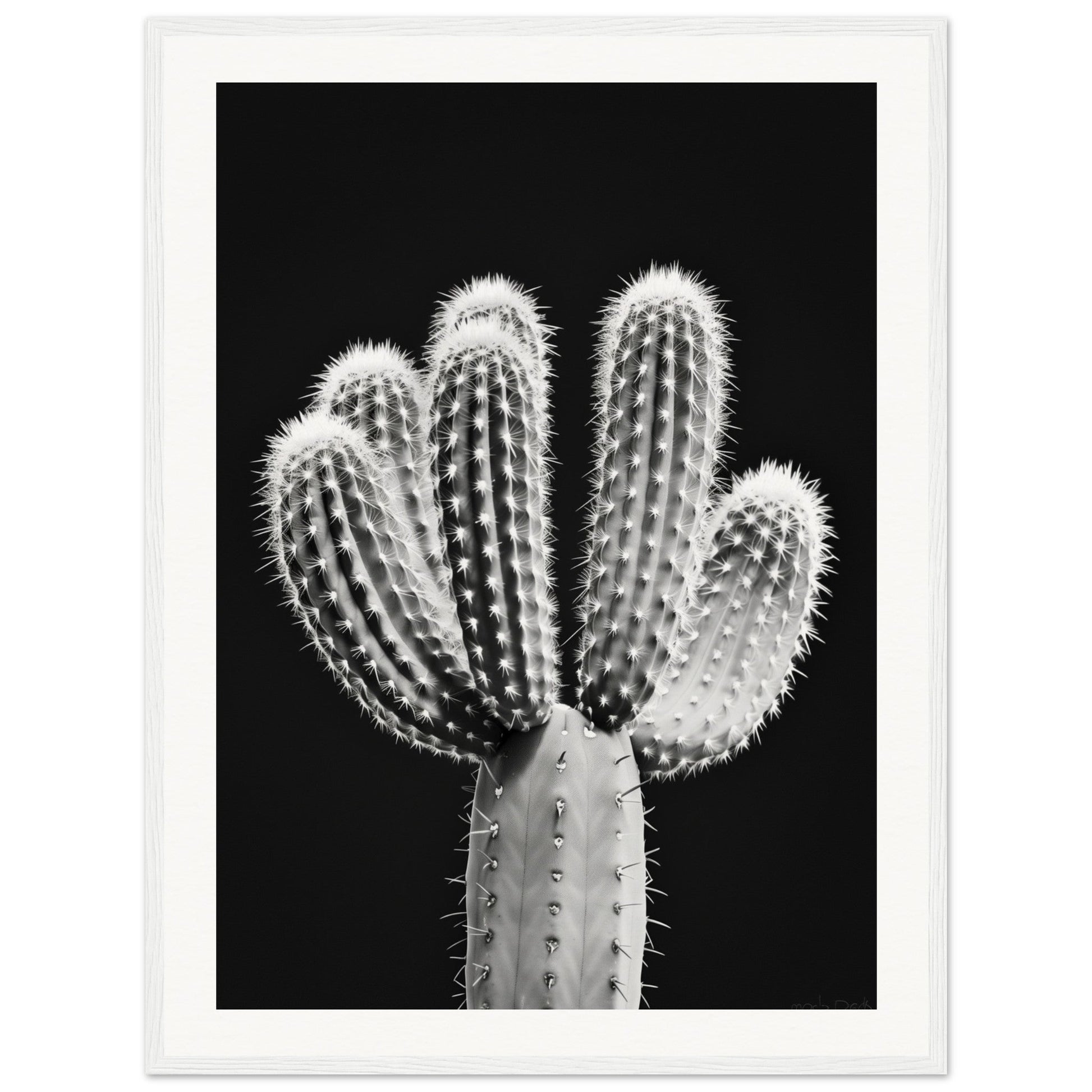 Affiche Cactus Noir et Blanc ( 60x80-cm-Bois-blanc)