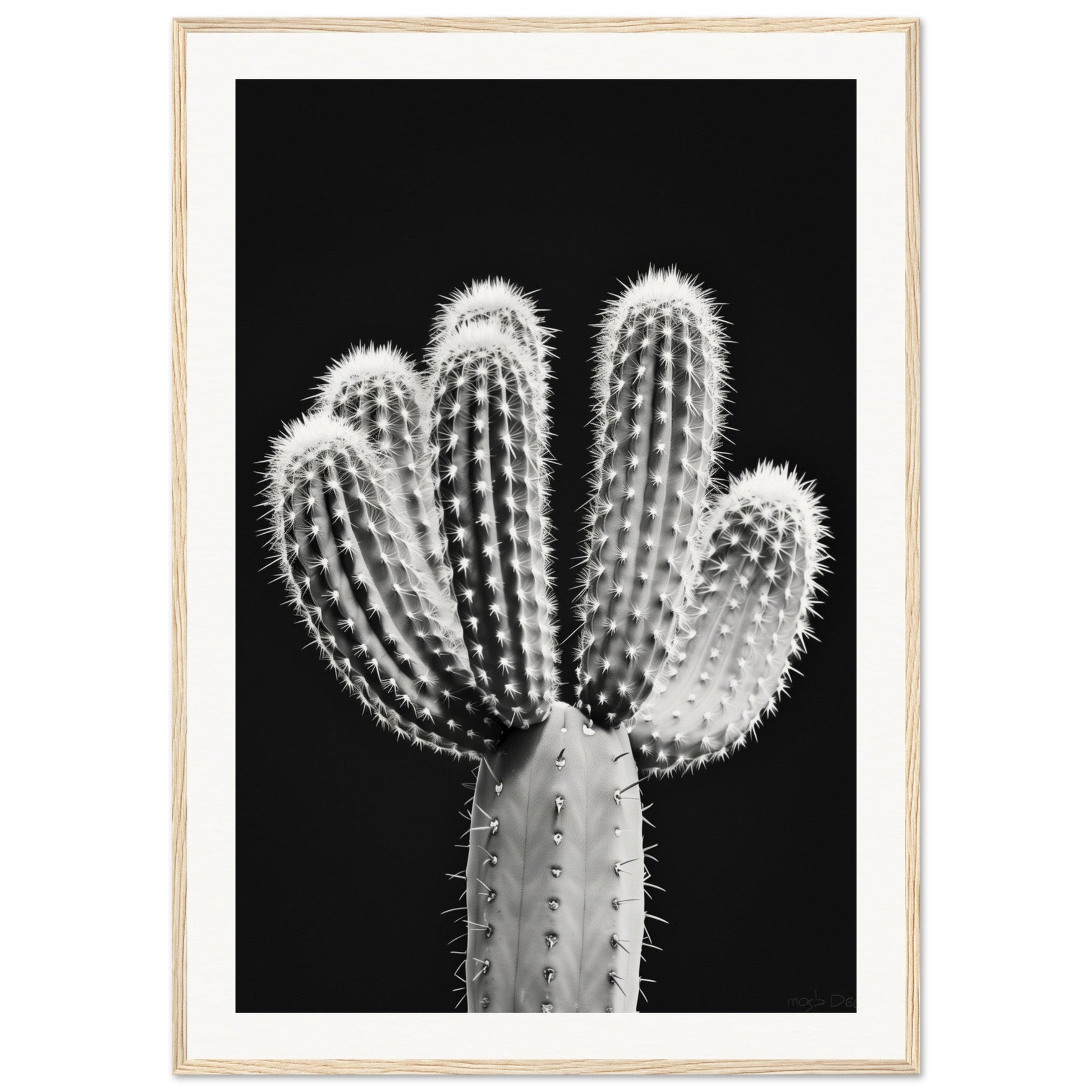 Affiche Cactus Noir et Blanc ( 70x100-cm-Bois-clair)