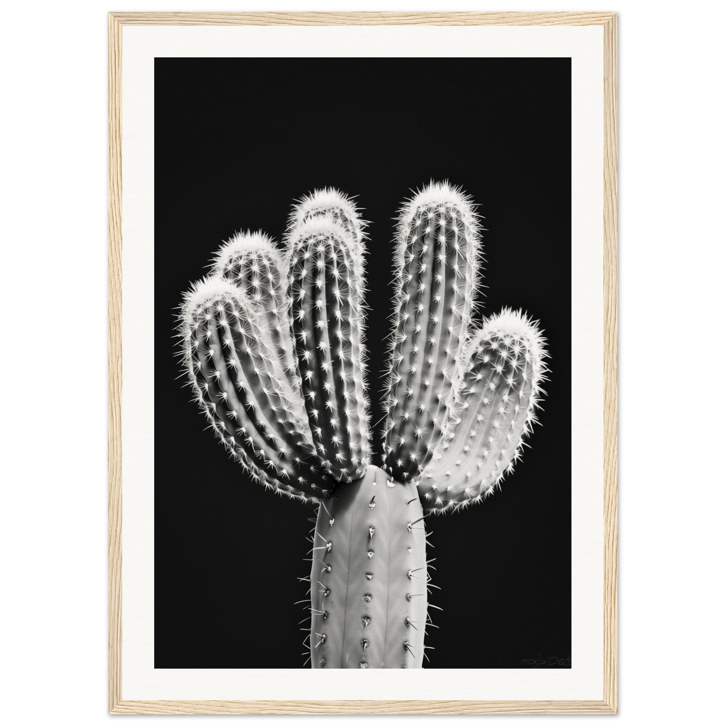 Affiche Cactus Noir et Blanc ( 50x70-cm-Bois-clair)