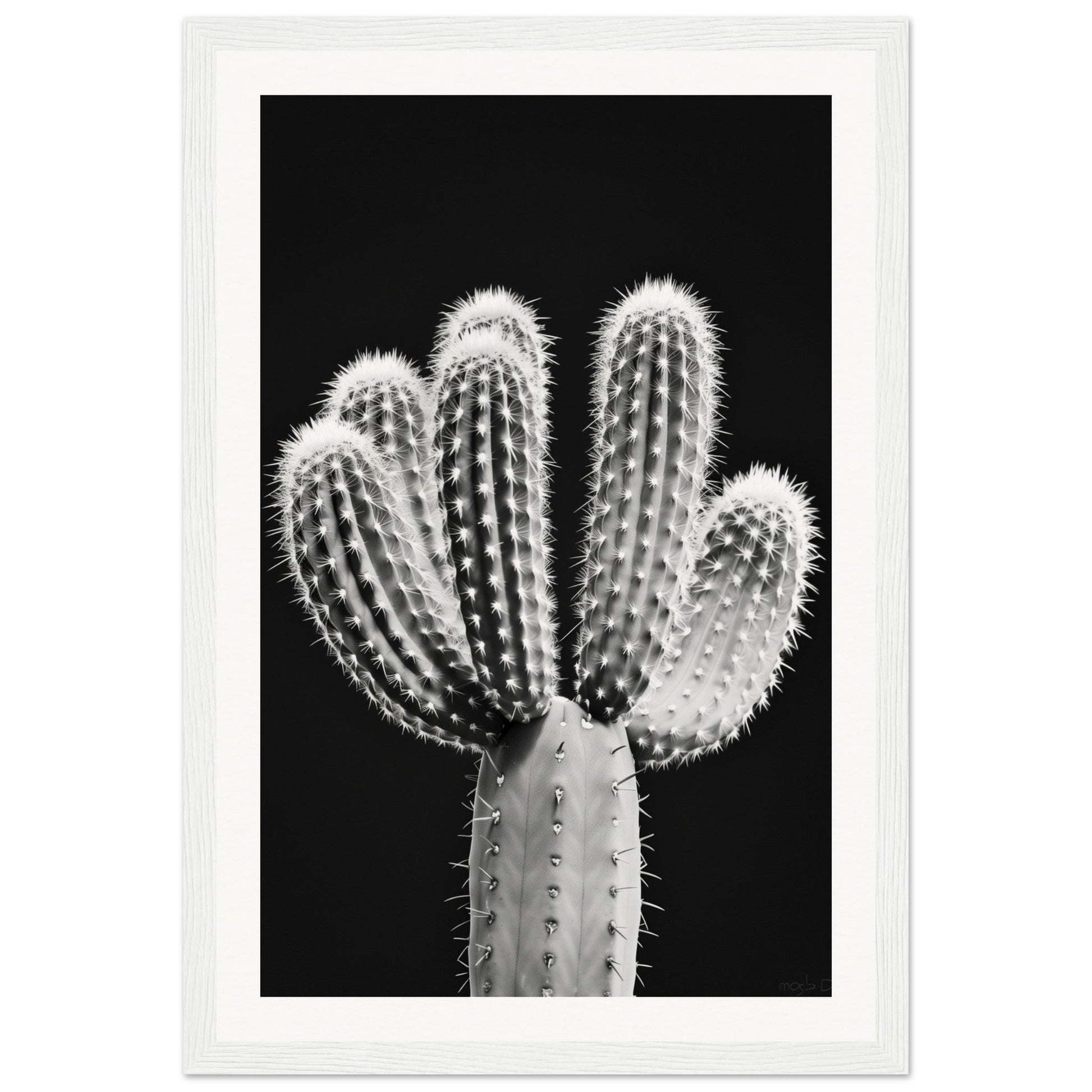 Affiche Cactus Noir et Blanc ( 30x45-cm-Bois-blanc)