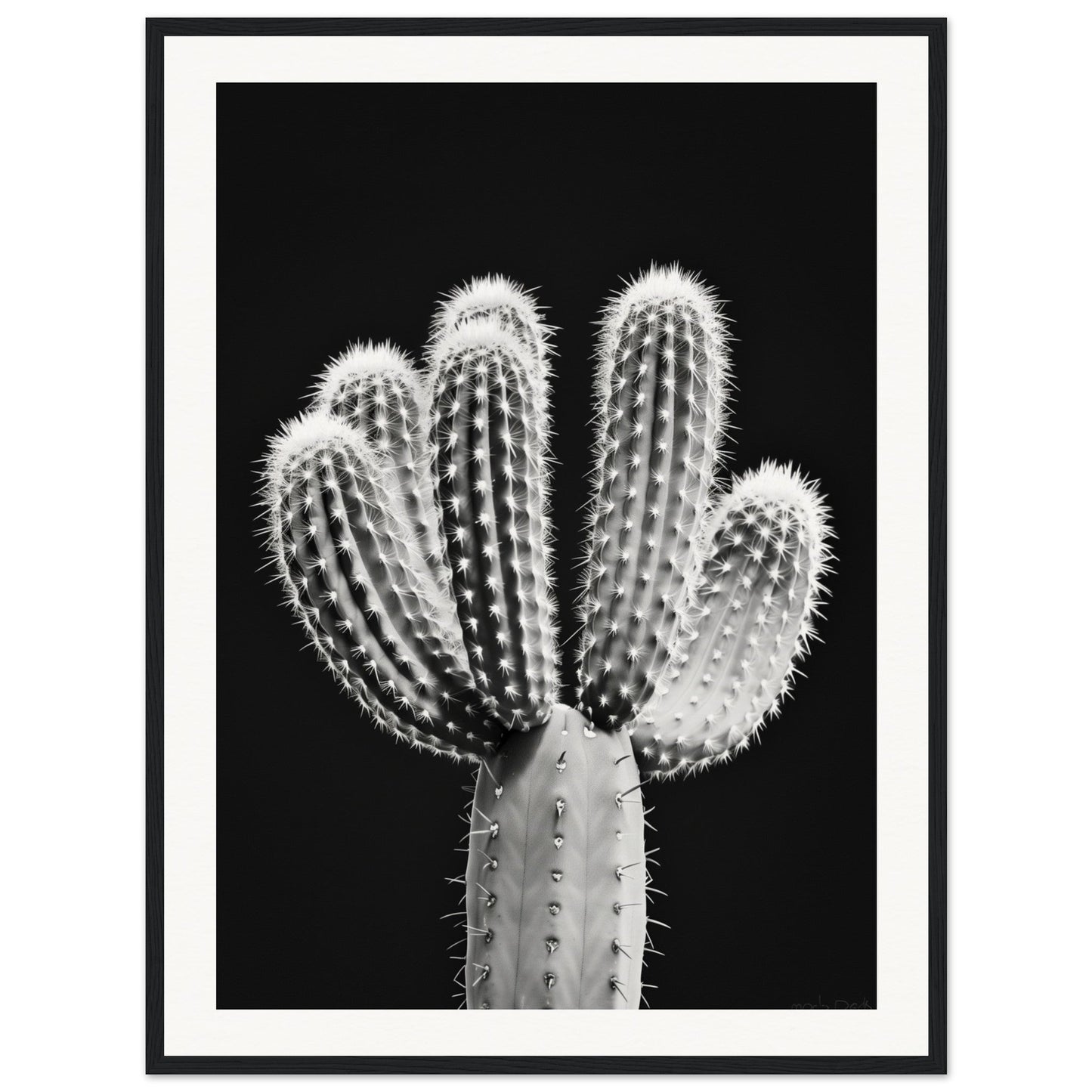 Affiche Cactus Noir et Blanc ( 60x80-cm-Bois-noir)