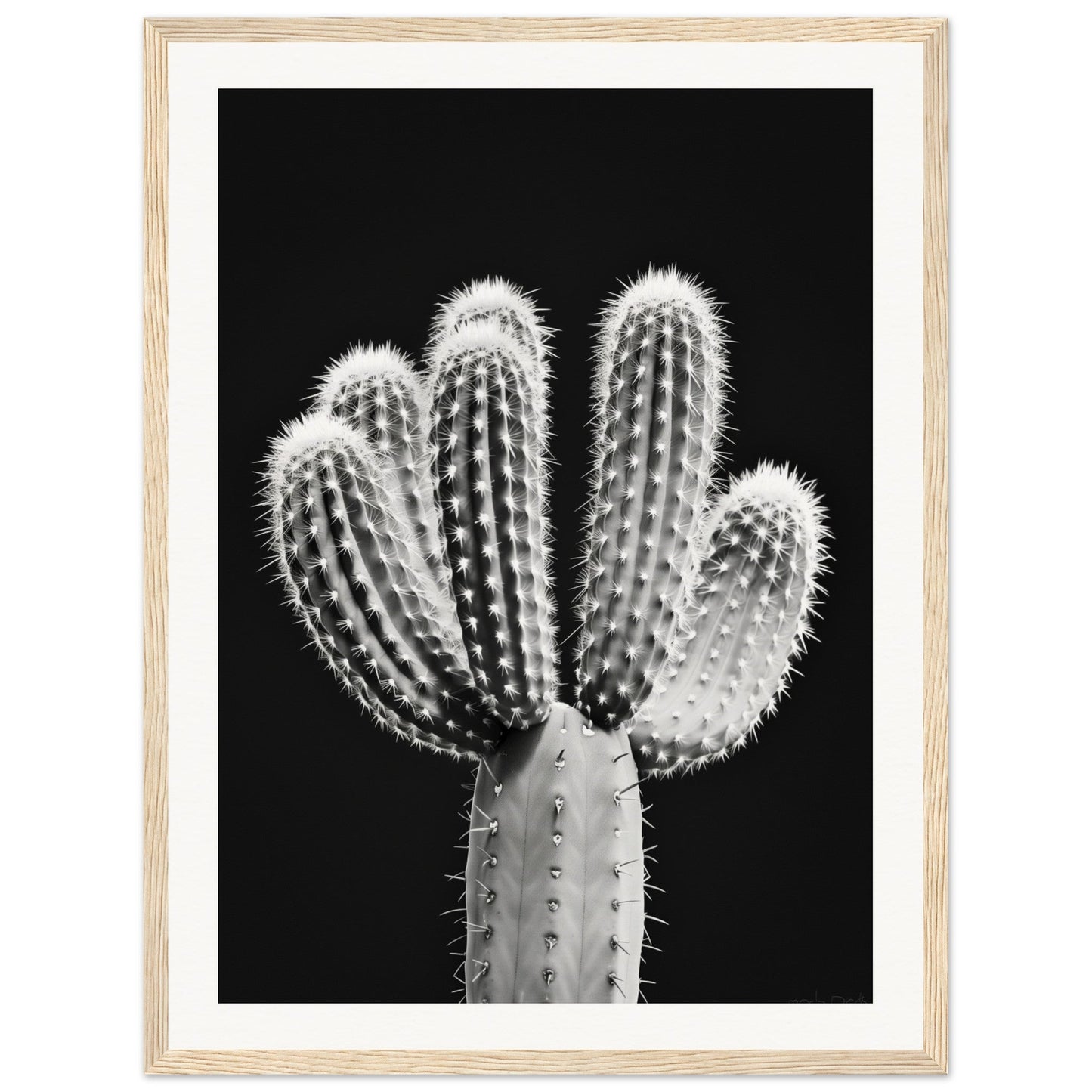 Affiche Cactus Noir et Blanc ( 45x60-cm-Bois-clair)