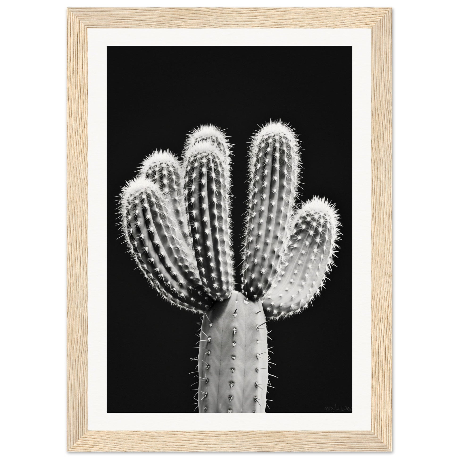 Affiche Cactus Noir et Blanc ( 21x29.7-cm-Bois-clair)