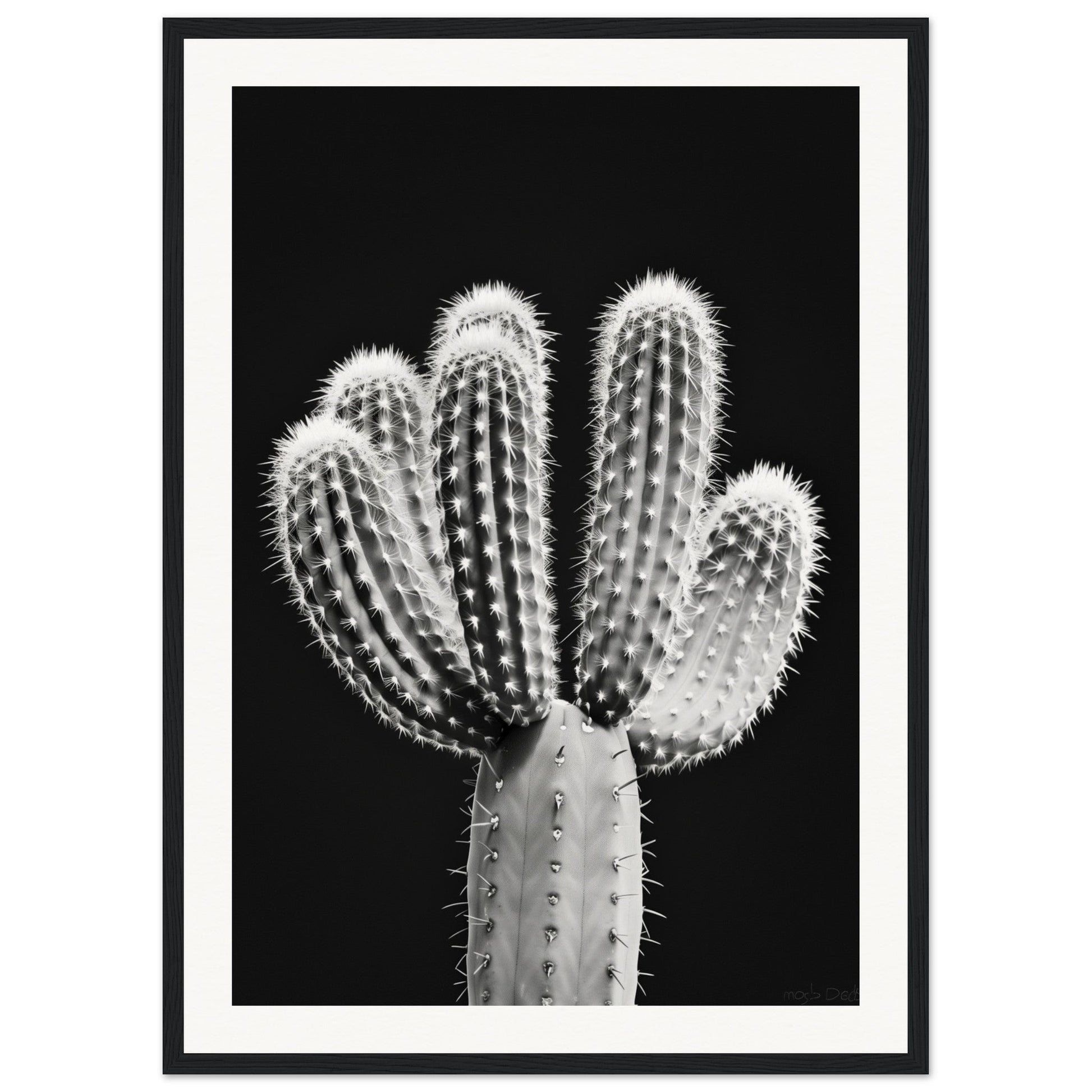 Affiche Cactus Noir et Blanc ( 50x70-cm-Bois-noir)