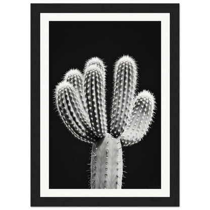 Affiche Cactus Noir et Blanc ( 21x29.7-cm-Bois-noir)