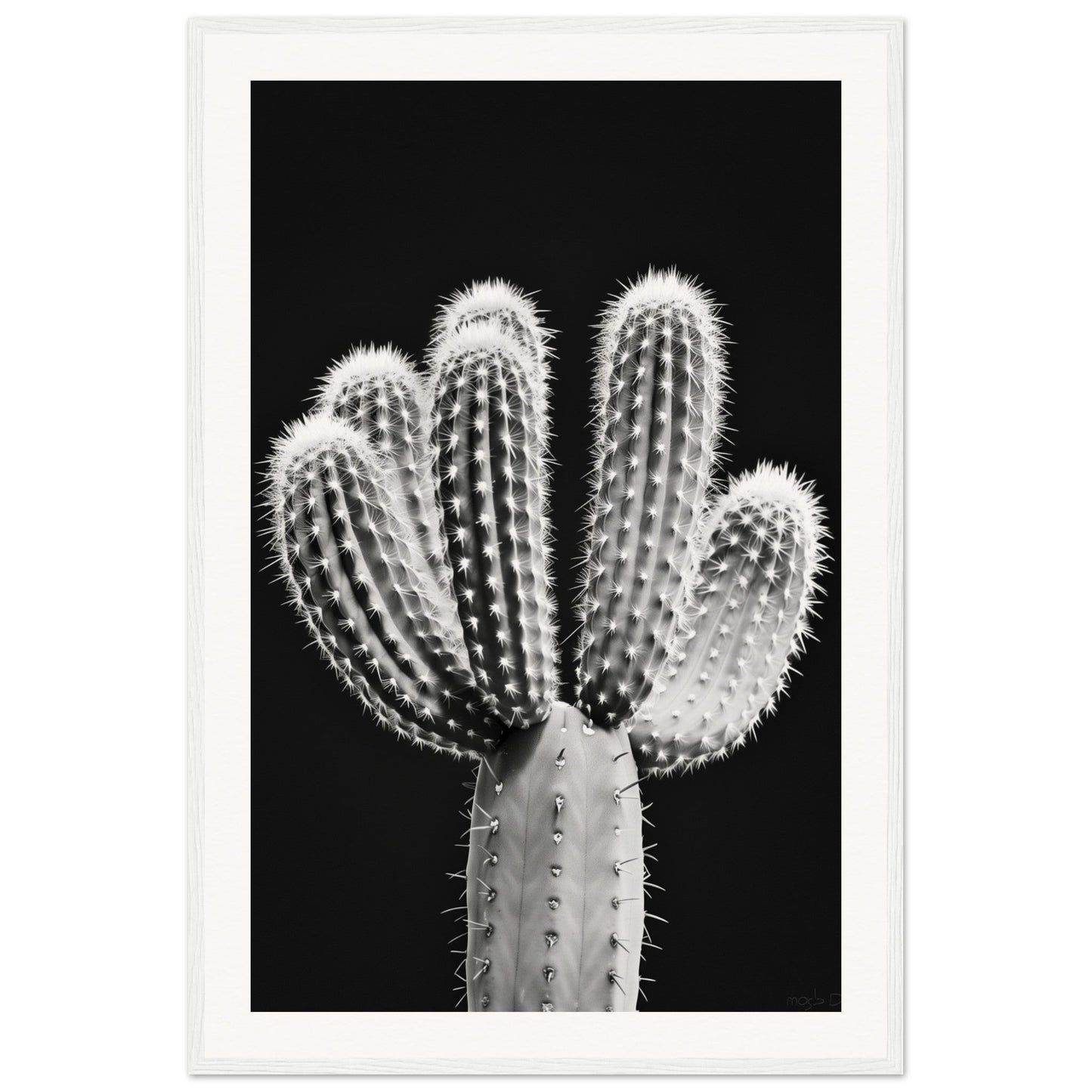 Affiche Cactus Noir et Blanc ( 60x90-cm-Bois-blanc)