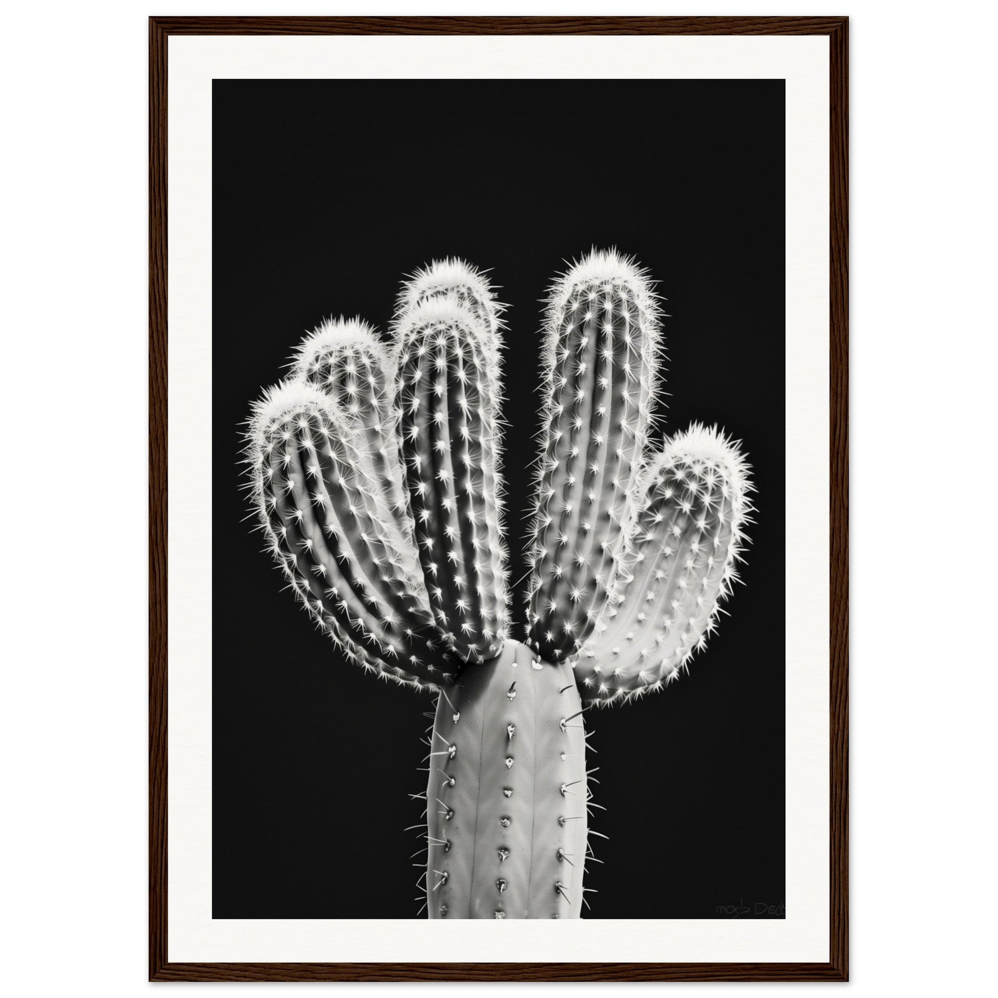 Affiche Cactus Noir et Blanc ( 50x70-cm-Bois-foncé)