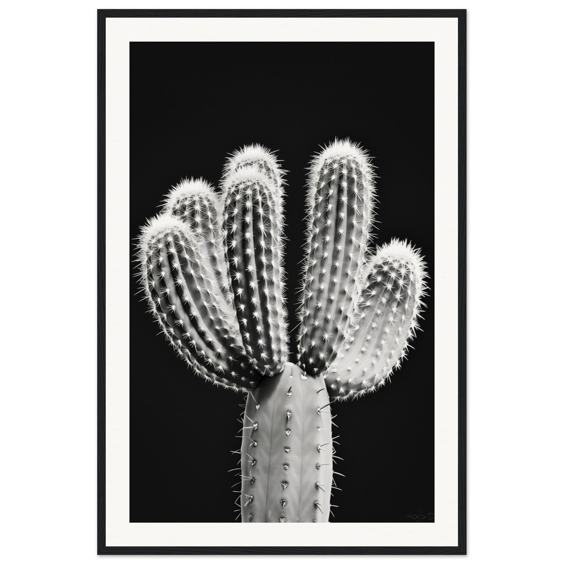 Affiche Cactus Noir et Blanc ( 60x90-cm-Bois-noir)