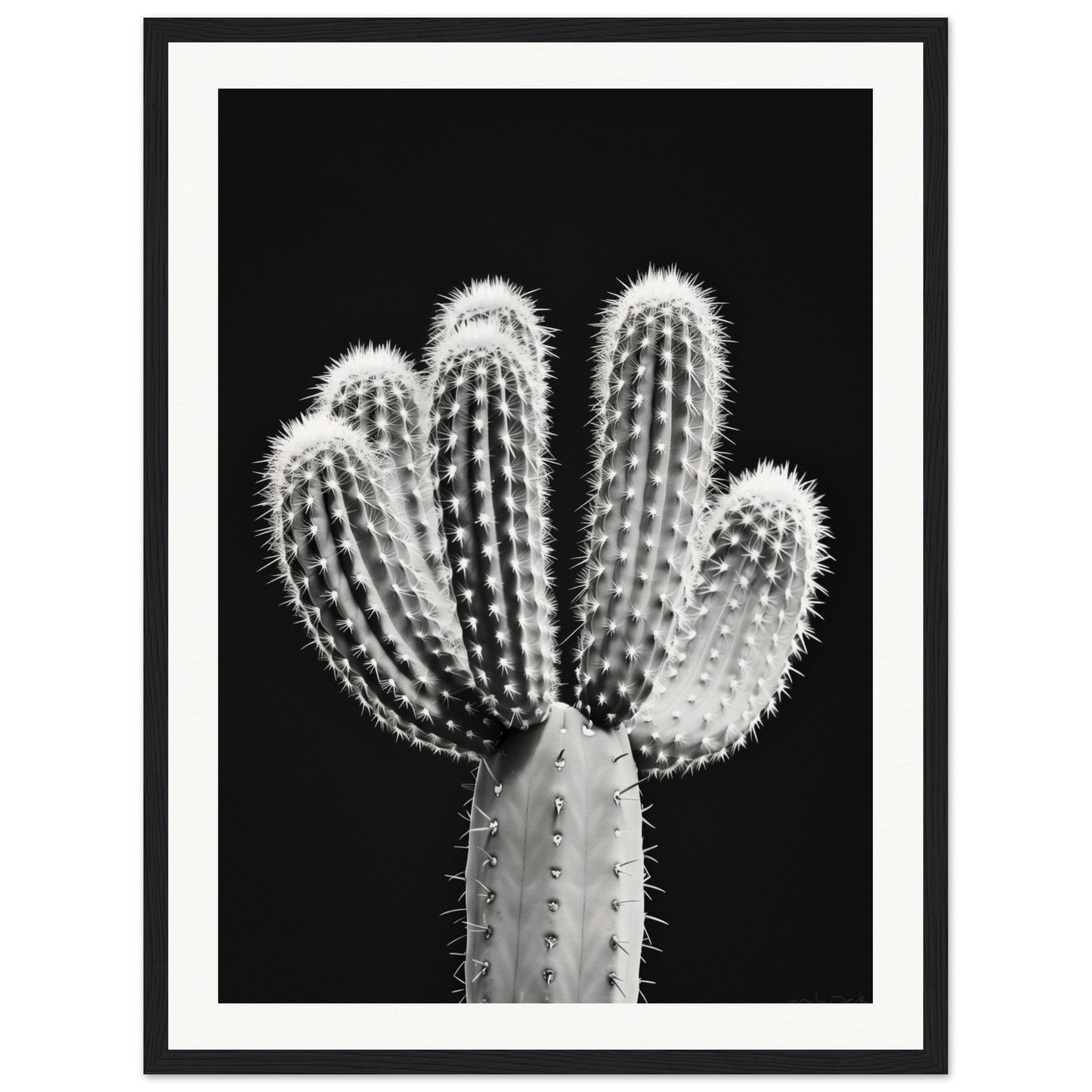 Affiche Cactus Noir et Blanc ( 45x60-cm-Bois-noir)