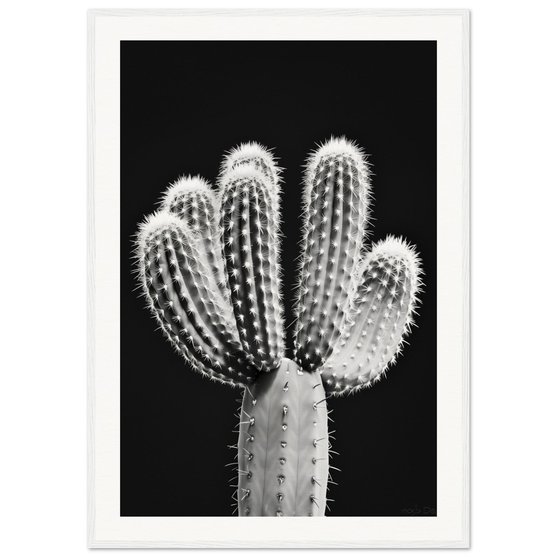 Affiche Cactus Noir et Blanc ( 70x100-cm-Bois-blanc)