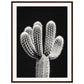 Affiche Cactus Noir et Blanc ( 60x80-cm-Bois-foncé)