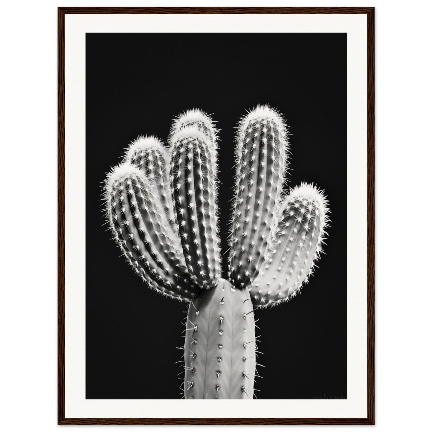 Affiche Cactus Noir et Blanc ( 60x80-cm-Bois-foncé)