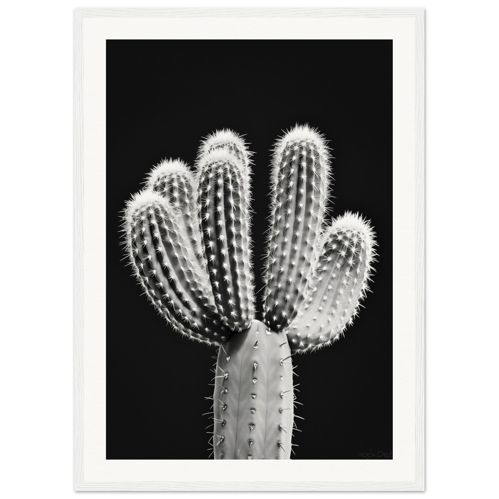 Affiche Cactus Noir et Blanc ( 50x70-cm-Bois-blanc)