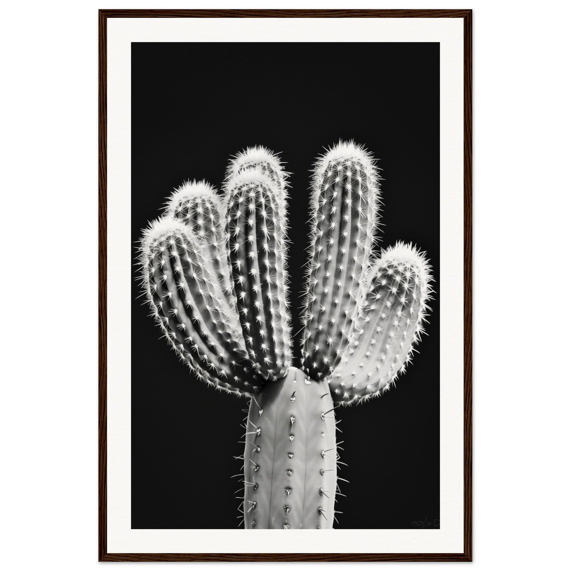 Affiche Cactus Noir et Blanc ( 60x90-cm-Bois-foncé)