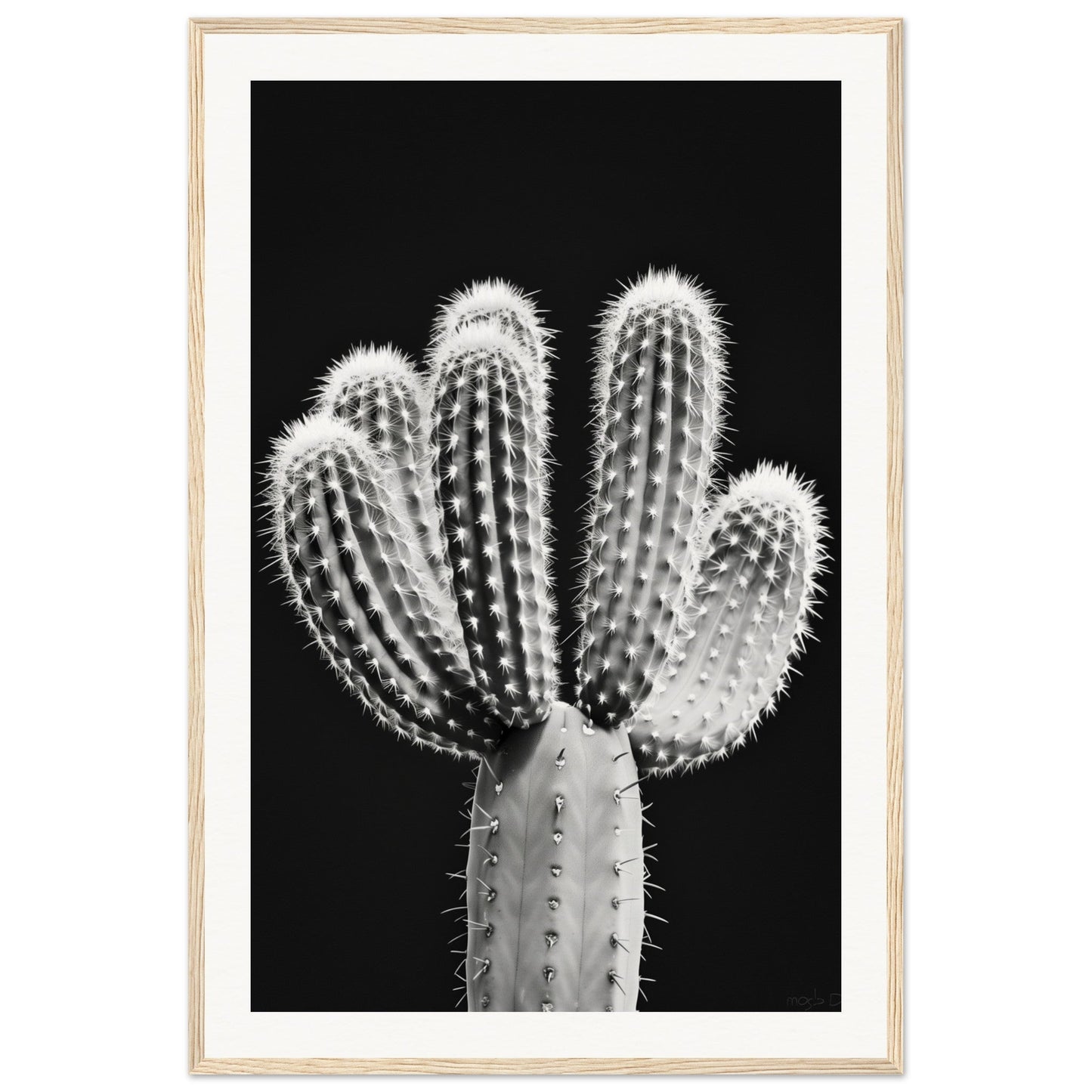 Affiche Cactus Noir et Blanc ( 60x90-cm-Bois-clair)