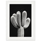 Affiche Cactus Noir et Blanc ( 21x29.7-cm-Bois-blanc)