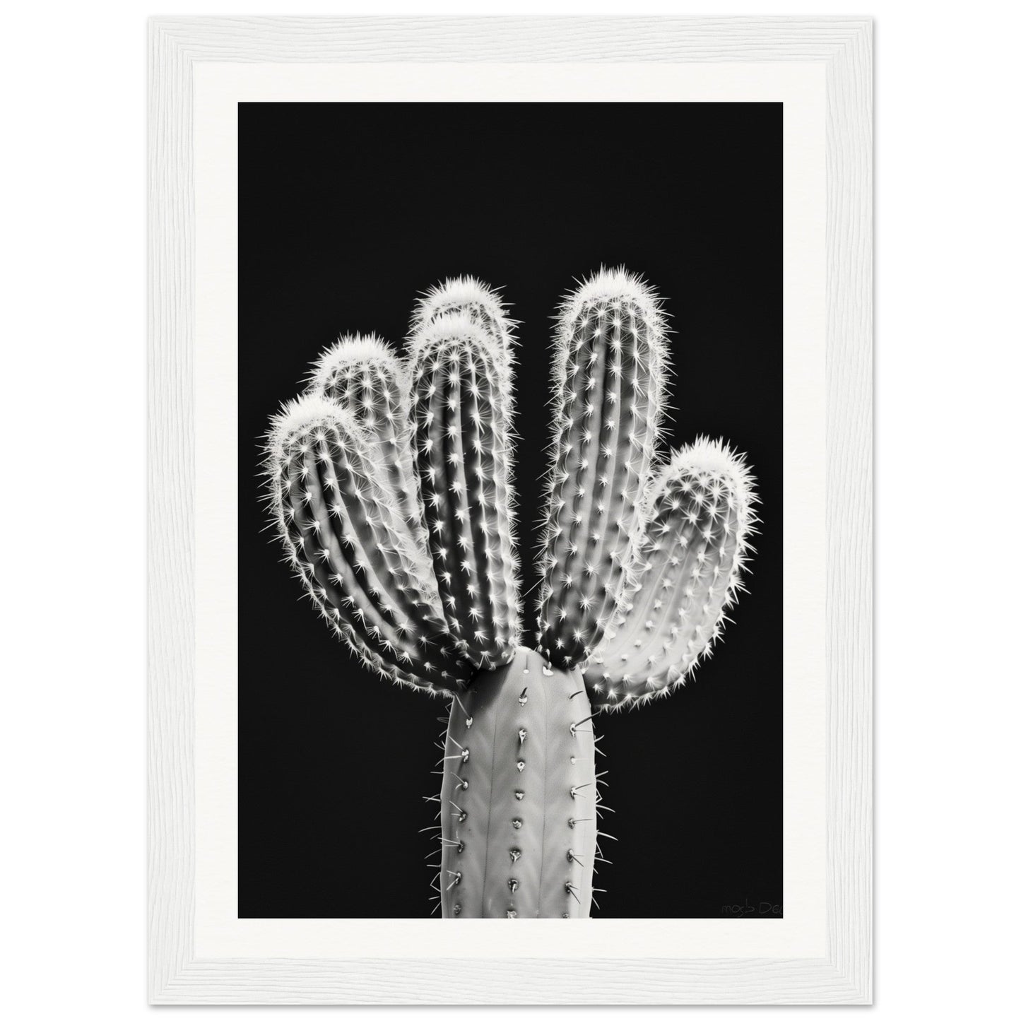 Affiche Cactus Noir et Blanc ( 21x29.7-cm-Bois-blanc)