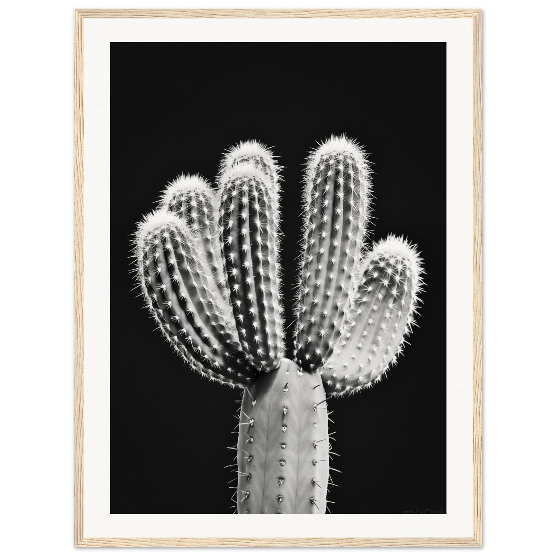 Affiche Cactus Noir et Blanc ( 60x80-cm-Bois-clair)