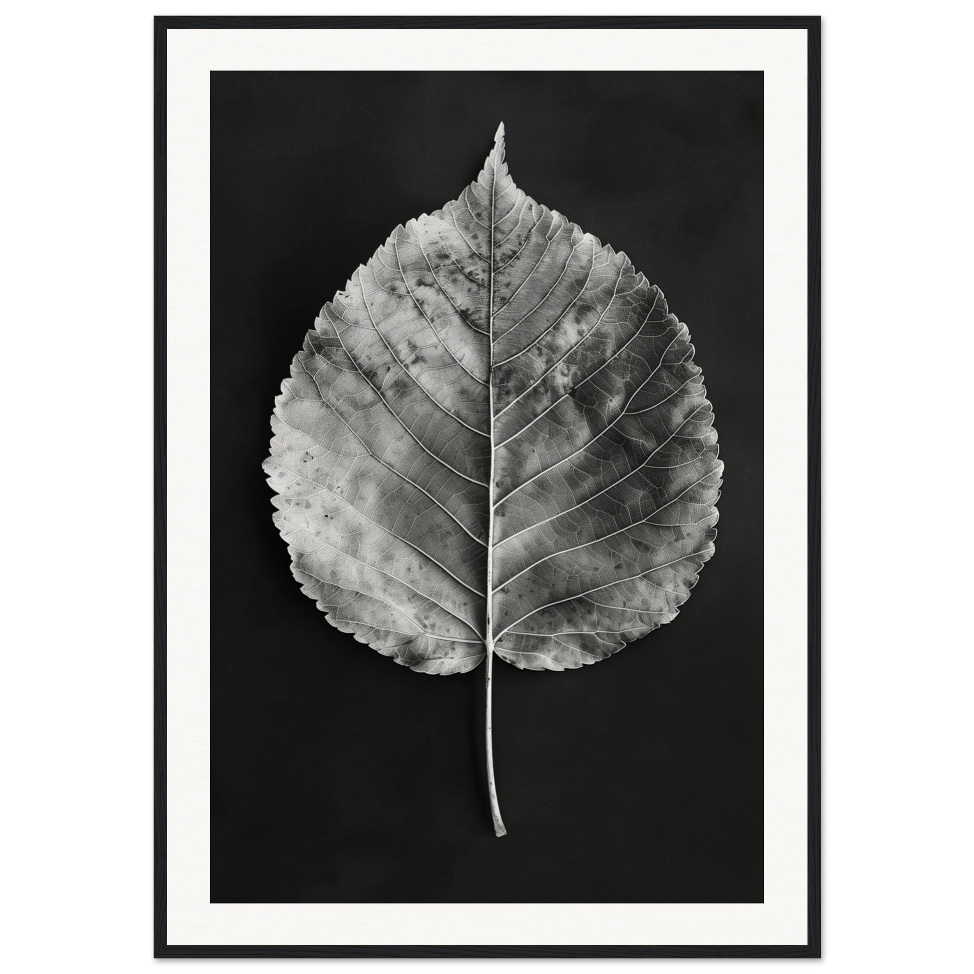 Affiche Feuille Noir et Blanc ( 70x100-cm-Bois-noir)