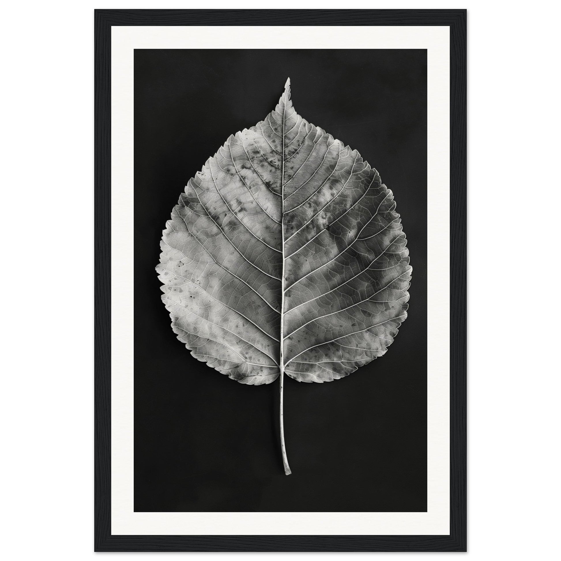 Affiche Feuille Noir et Blanc ( 30x45-cm-Bois-noir)