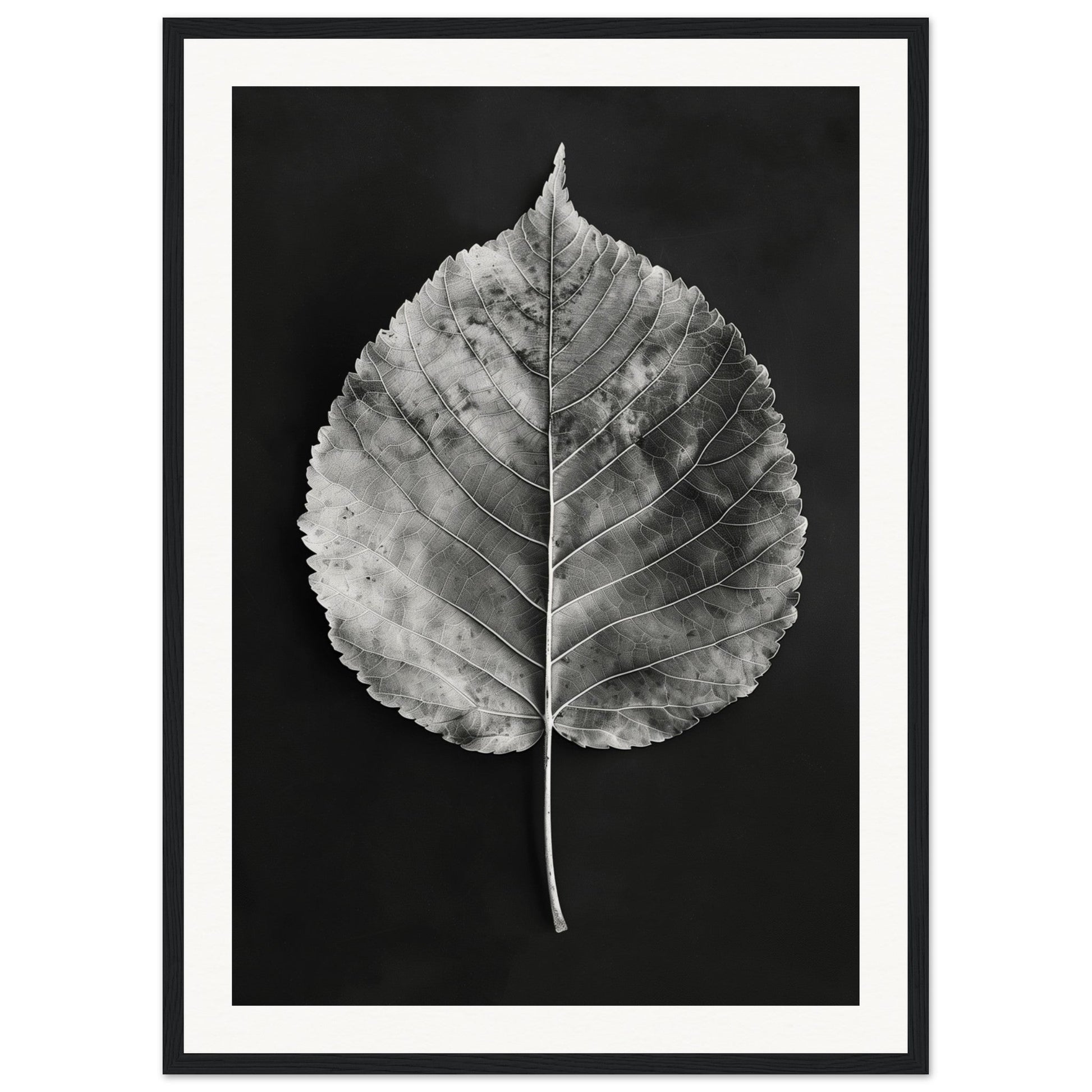 Affiche Feuille Noir et Blanc ( 50x70-cm-Bois-noir)