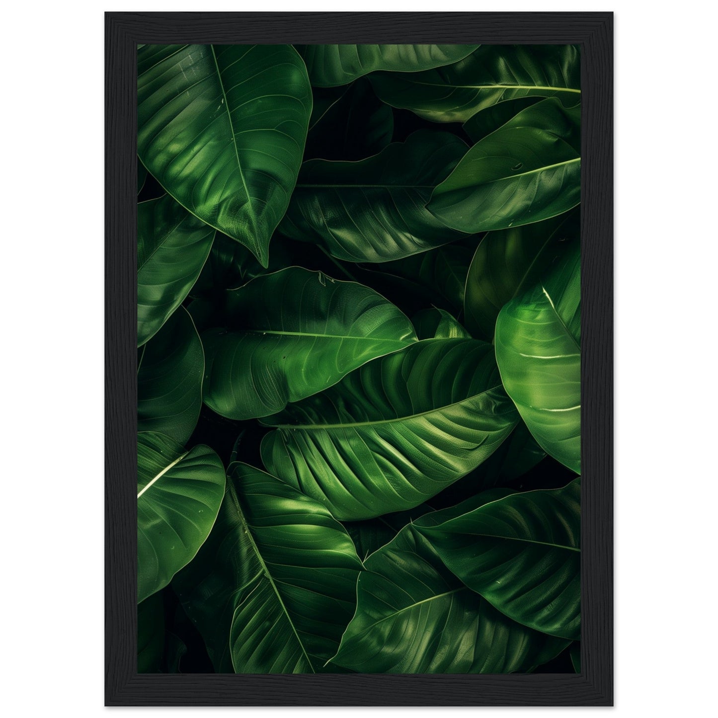 Affiche Feuilles Vertes ( 21x29.7-cm-Bois-noir)