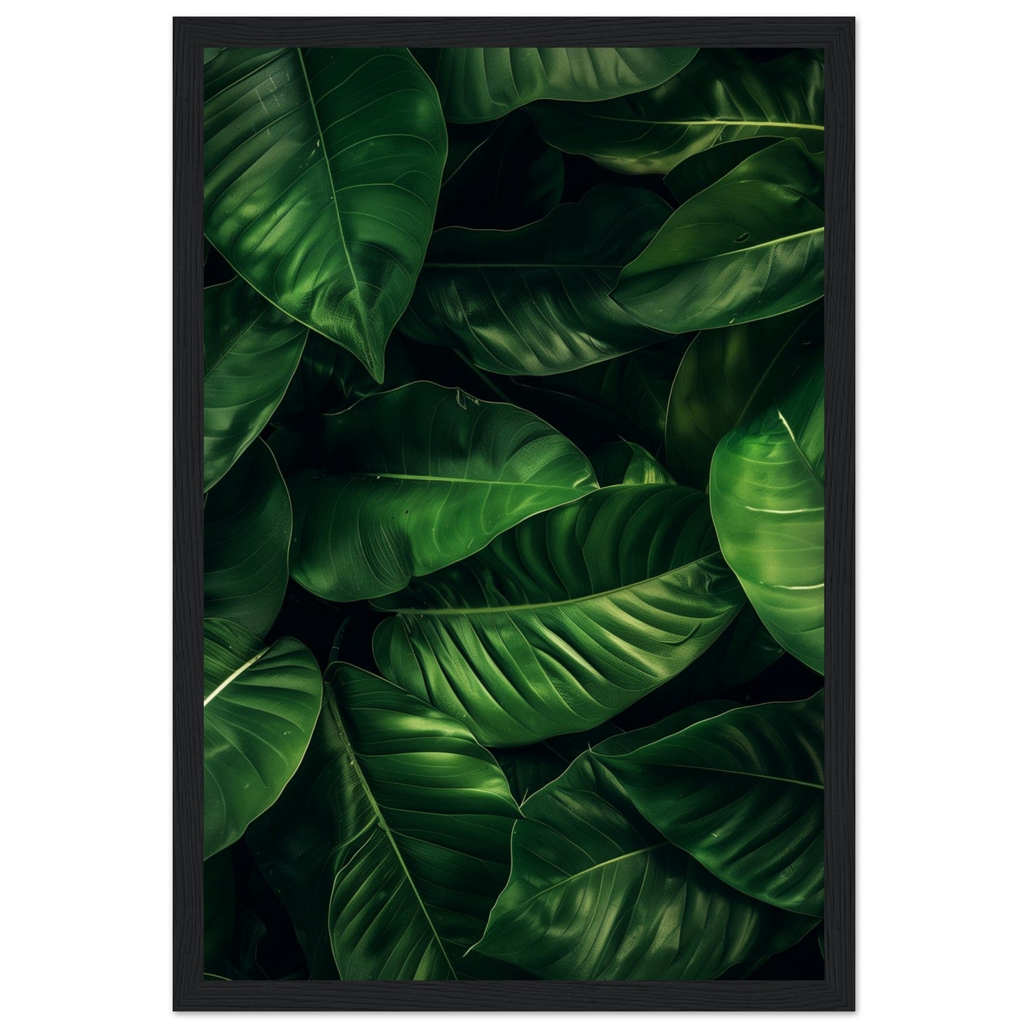 Affiche Feuilles Vertes ( 30x45-cm-Bois-noir)