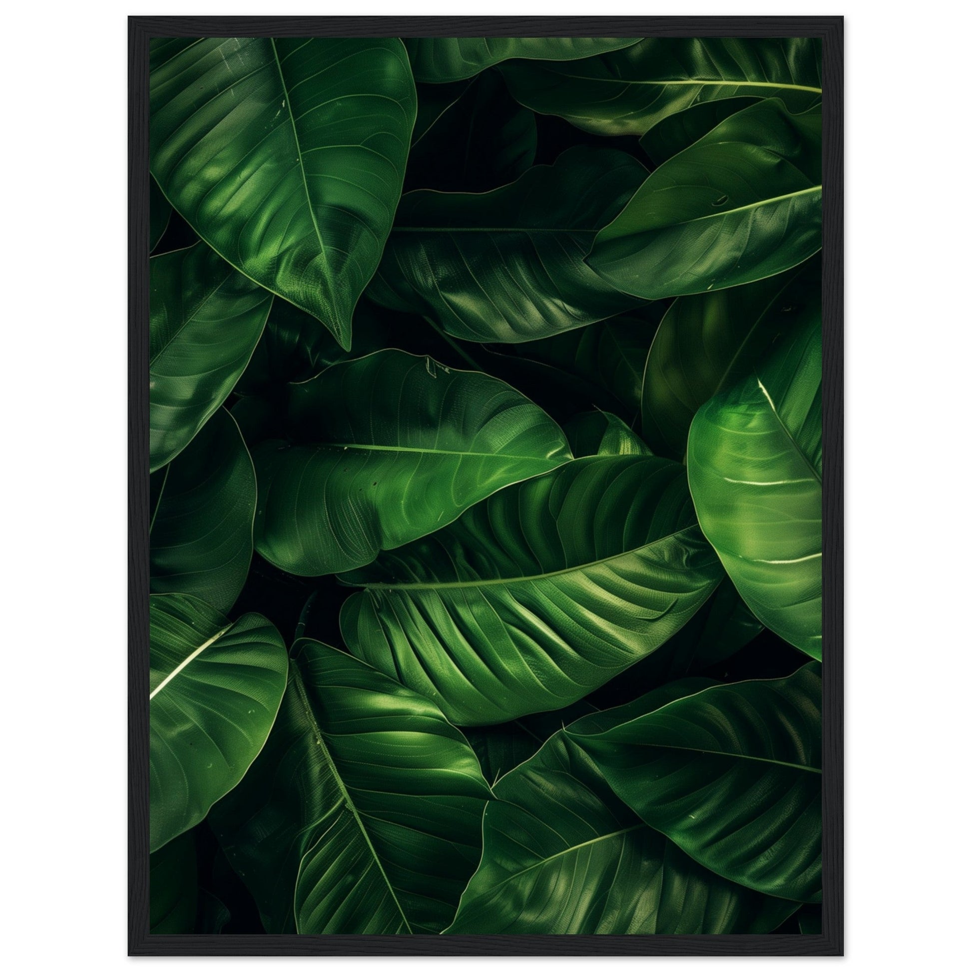 Affiche Feuilles Vertes ( 45x60-cm-Bois-noir)