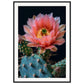 Affiche Fleur De Cactus ( 70x100-cm-Bois-noir)