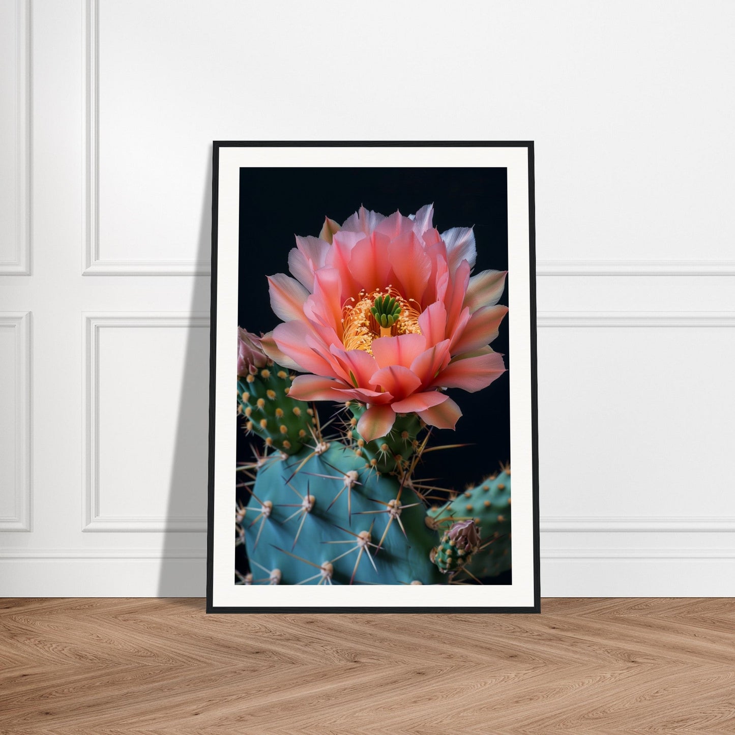 Affiche Fleur De Cactus ( )