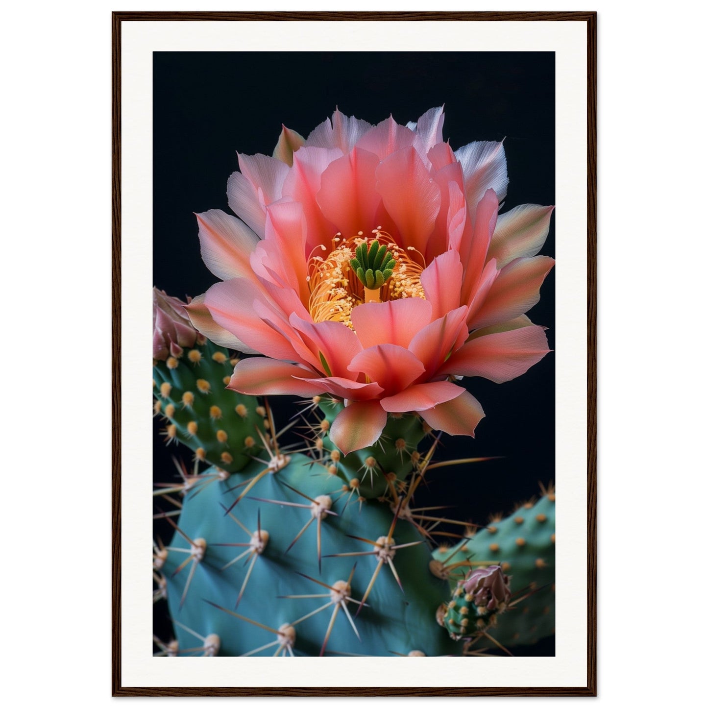 Affiche Fleur De Cactus ( 70x100-cm-Bois-foncé)