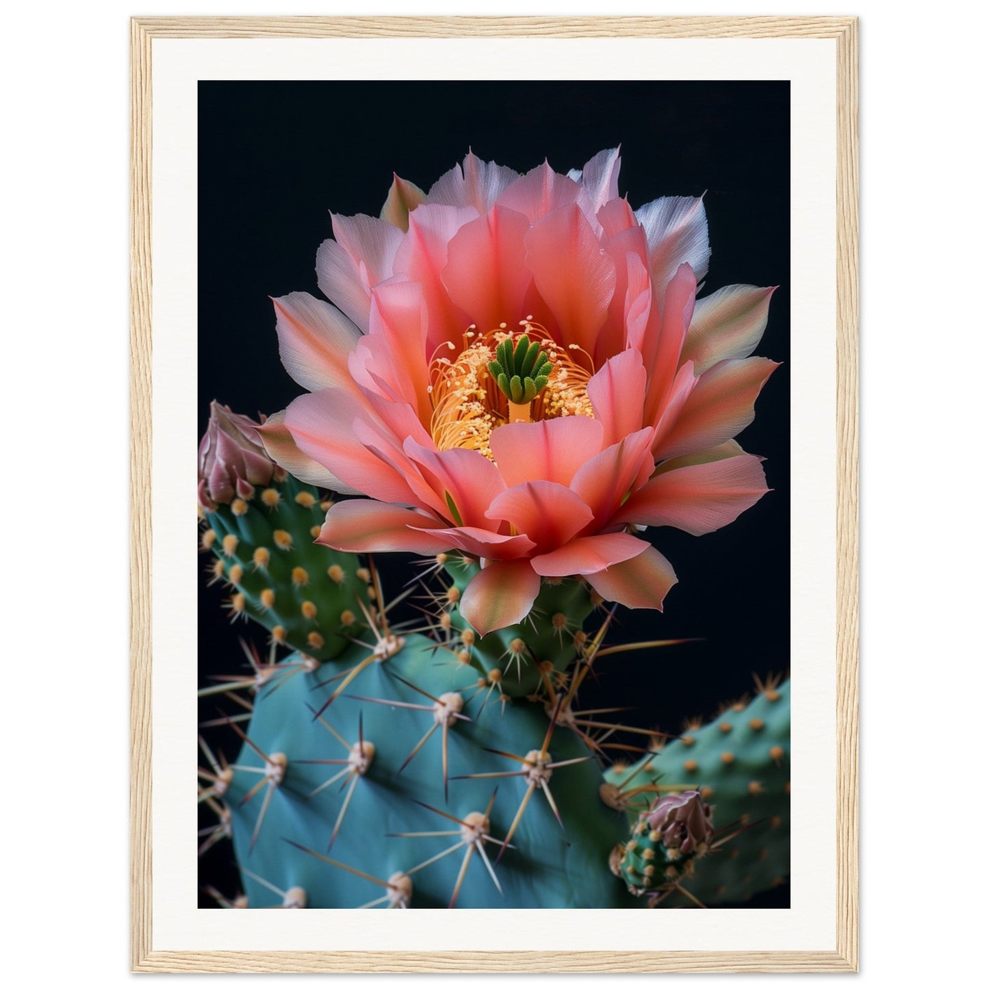 Affiche Fleur De Cactus ( 45x60-cm-Bois-clair)