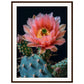 Affiche Fleur De Cactus ( 60x80-cm-Bois-foncé)