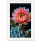 Affiche Fleur De Cactus ( 30x45-cm-Bois-blanc)