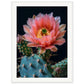 Affiche Fleur De Cactus ( 60x80-cm-Bois-blanc)