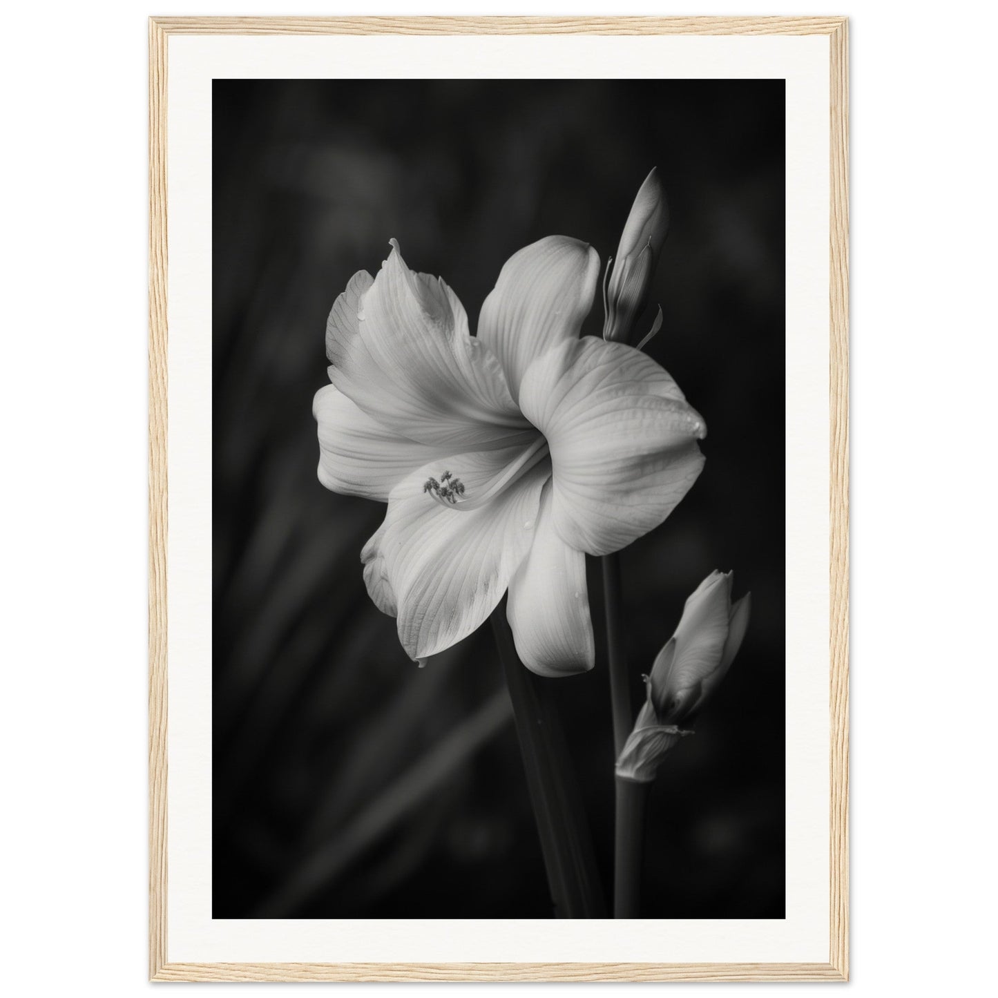 Affiche Fleur Noir et Blanc ( 50x70-cm-Bois-clair)