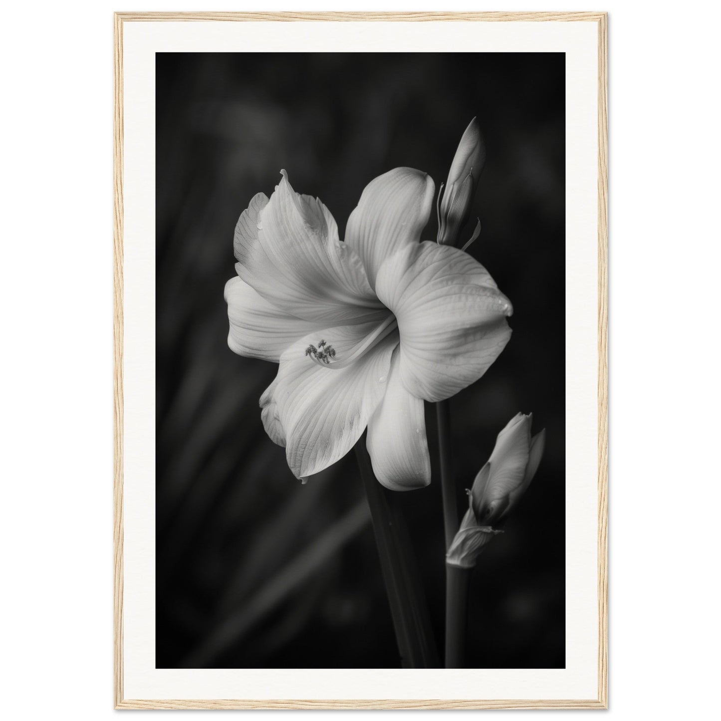 Affiche Fleur Noir et Blanc ( 70x100-cm-Bois-clair)