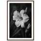 Affiche Fleur Noir et Blanc ( 60x90-cm-Bois-foncé)