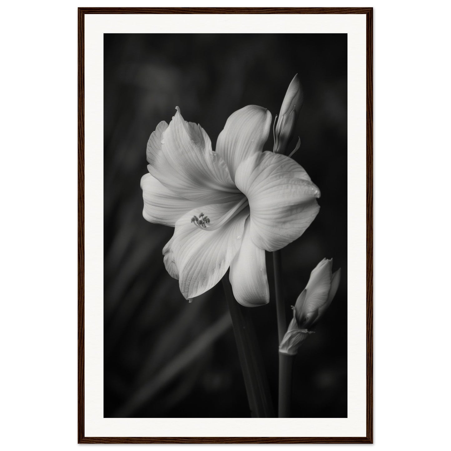 Affiche Fleur Noir et Blanc ( 60x90-cm-Bois-foncé)