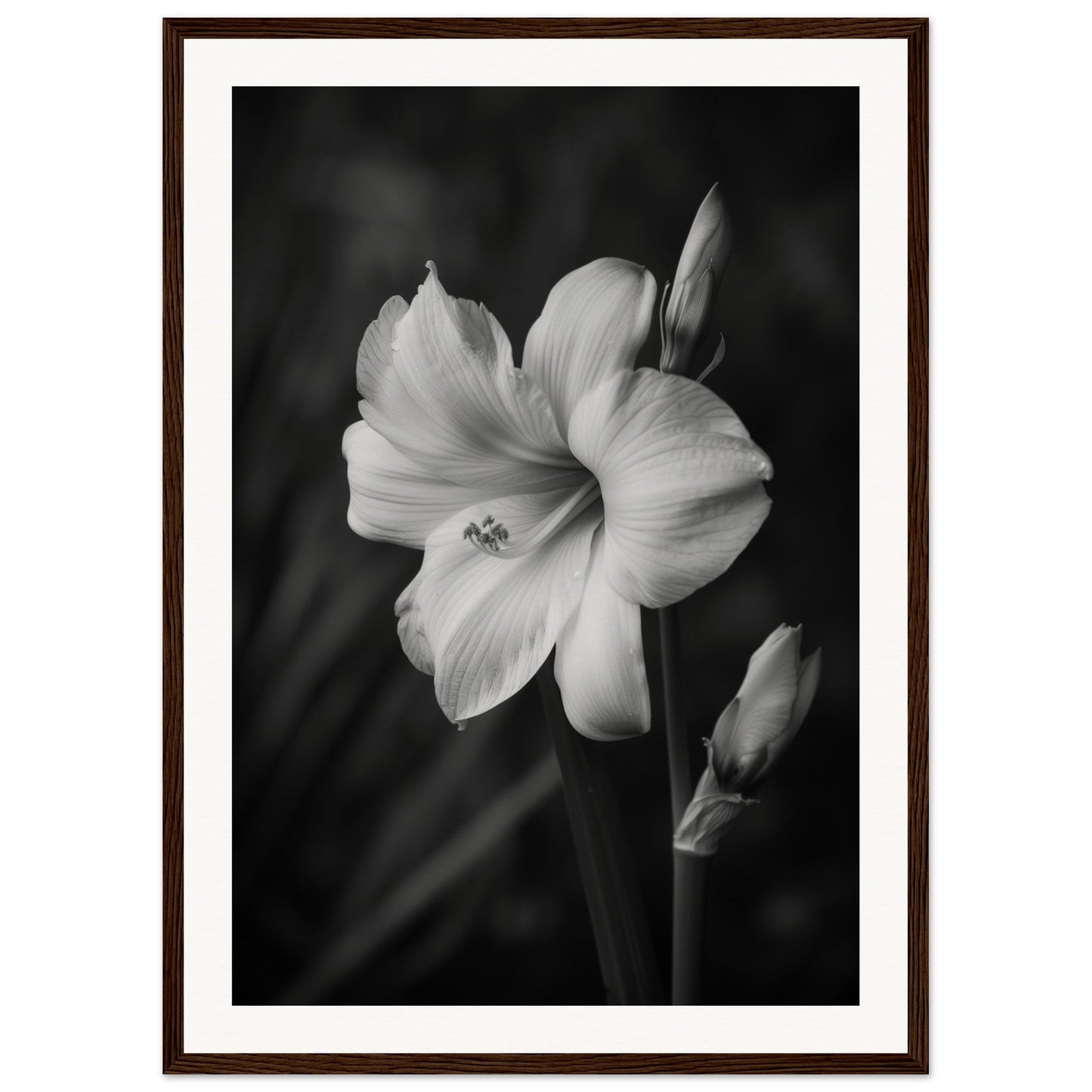 Affiche Fleur Noir et Blanc ( 50x70-cm-Bois-foncé)